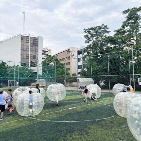 Image Not Found On Media Library