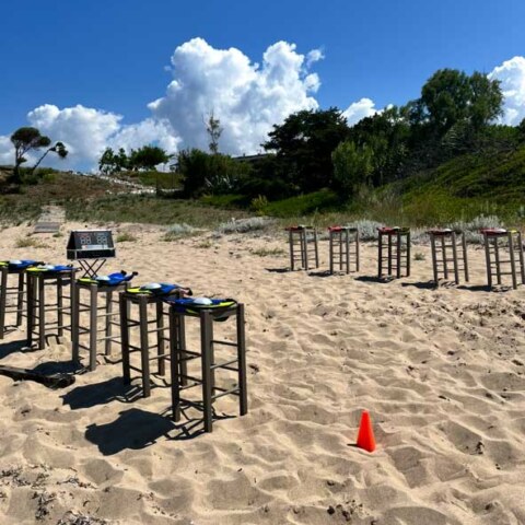 Image Not Found On Media Library